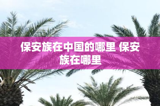 保安族在中国的哪里 保安族在哪里