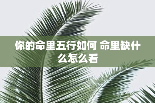 你的命里五行如何 命里缺什么怎么看