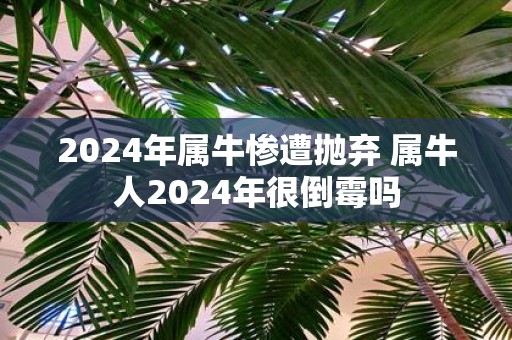 2025年属牛惨遭抛弃 属牛人2025年很倒霉吗