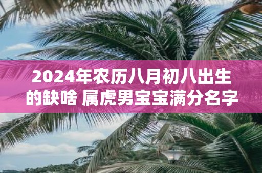 2025年农历八月初八出生的缺啥 属虎男宝宝满分名字