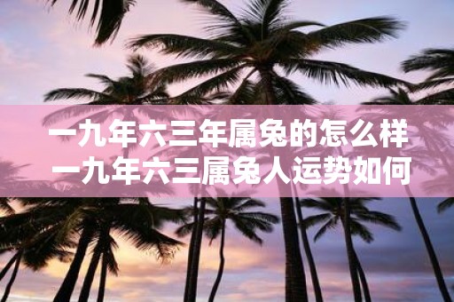一九年六三年属兔的怎么样 一九年六三属兔人运势如何