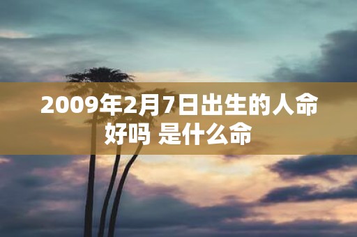 2009年2月7日出生的人命好吗 是什么命
