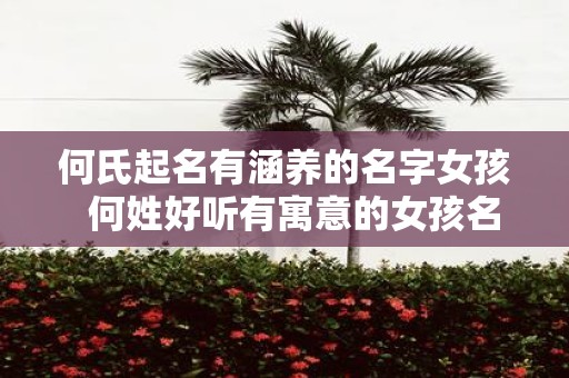 何氏起名有涵养的名字女孩 何姓好听有寓意的女孩名字