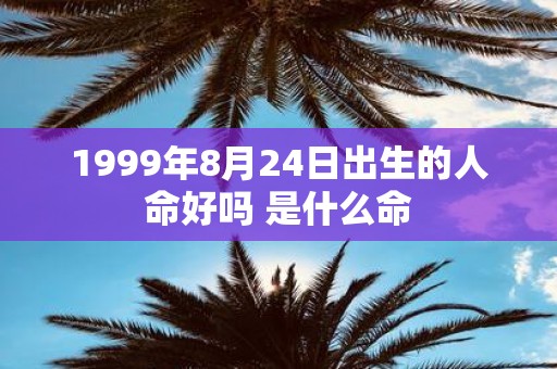 1999年8月24日出生的人命好吗 是什么命