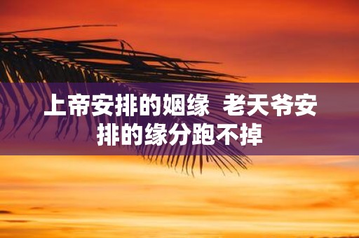 上帝安排的姻缘 老天爷安排的缘分跑不掉