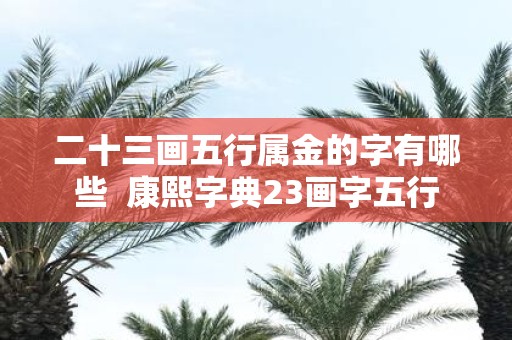 二十三画五行属金的字有哪些 康熙字典23画字五行