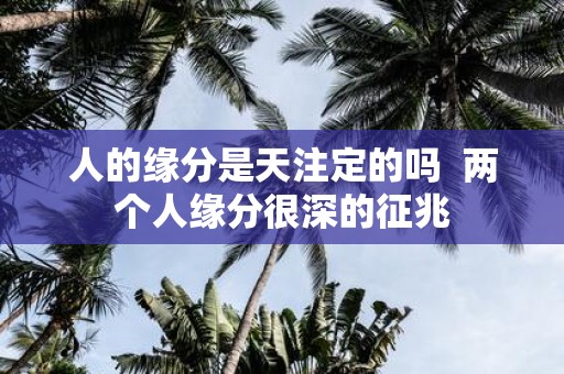 人的缘分是天注定的吗 两个人缘分很深的征兆