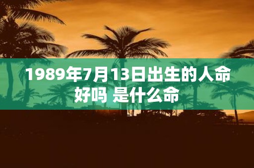 1989年7月13日出生的人命好吗 是什么命