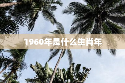 1960年是什么生肖年