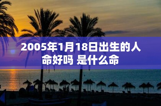 2005年1月18日出生的人命好吗 是什么命