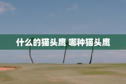 什么的猫头鹰 哪种猫头鹰