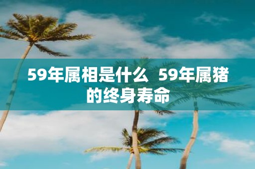 59年属相是什么 59年属猪的终身寿命