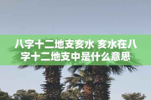 八字十二地支亥水 亥水在八字十二地支中是什么意思