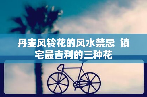 丹麦风铃花的风水禁忌 镇宅最吉利的三种花