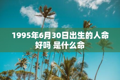 1995年6月30日出生的人命好吗 是什么命