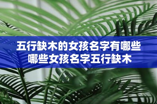五行缺木的女孩名字有哪些 哪些女孩名字五行缺木