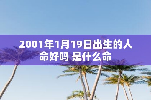 2001年1月19日出生的人命好吗 是什么命