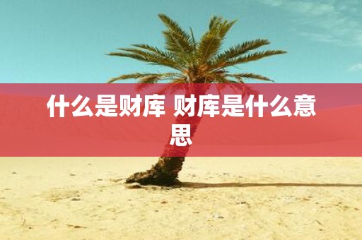 什么是财库 财库是什么意思