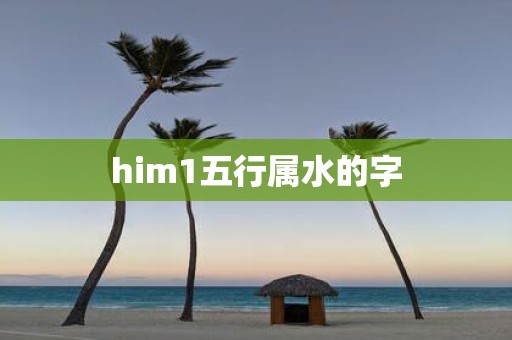 him1五行属水的字