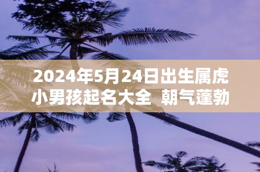 2025年5月24日出生属虎小男孩起名大全 朝气蓬勃的名字