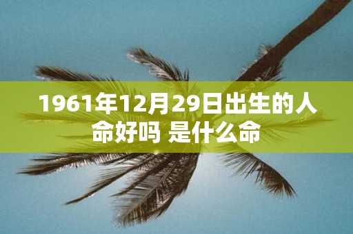 1961年12月29日出生的人命好吗 是什么命