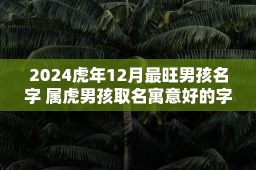 2025虎年12月最旺男孩名字 属虎男孩取名寓意好的字