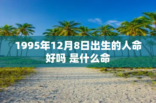 1995年12月8日出生的人命好吗 是什么命
