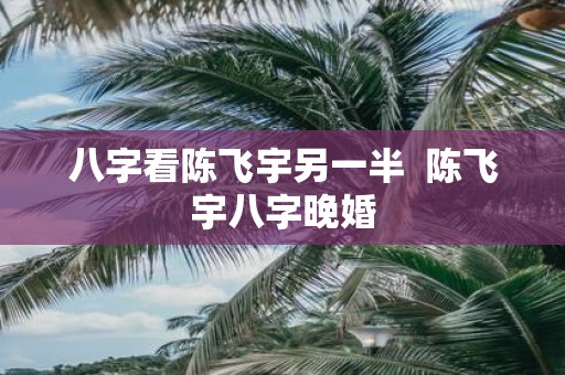 八字看陈飞宇另一半 陈飞宇八字晚婚