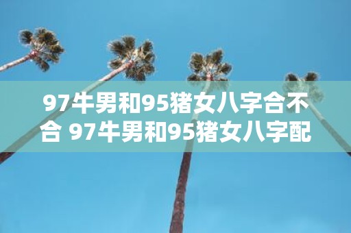 97牛男和95猪女八字合不合 97牛男和95猪女八字配吗