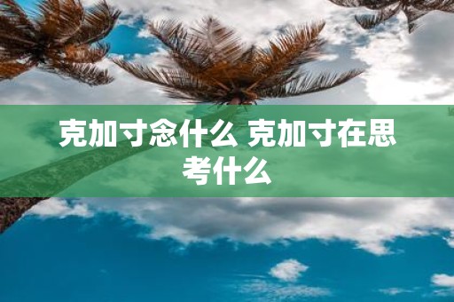 克加寸念什么 克加寸在思考什么