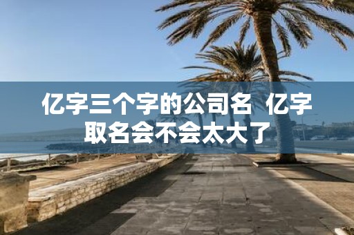 亿字三个字的公司名 亿字取名会不会太大了