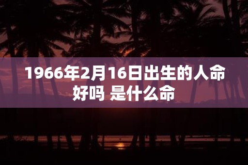 1966年2月16日出生的人命好吗 是什么命