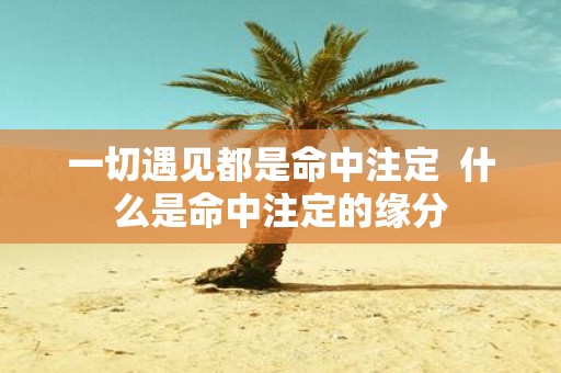 一切遇见都是命中注定 什么是命中注定的缘分