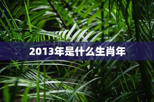2013年是什么生肖年