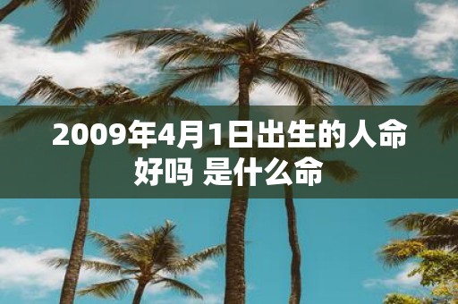 2009年4月1日出生的人命好吗 是什么命