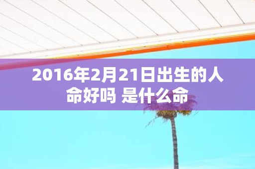 2016年2月21日出生的人命好吗 是什么命