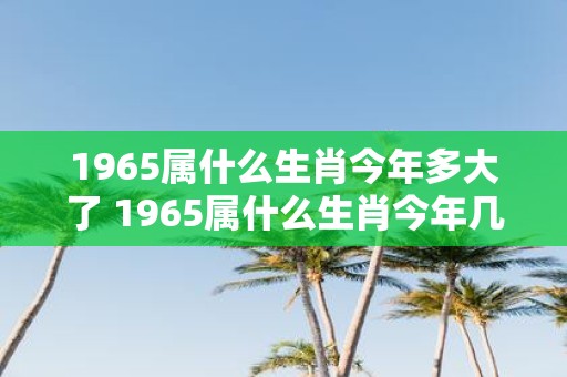 1965属什么生肖今年多大了 1965属什么生肖今年几岁