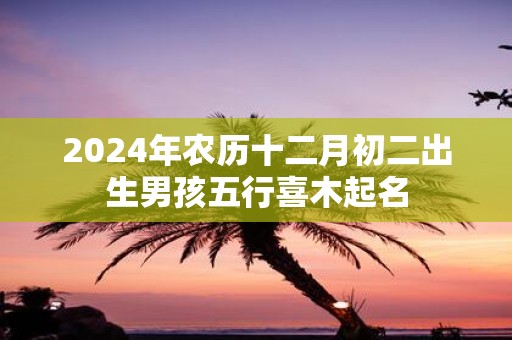 2025年农历十二月初二出生男孩五行喜木起名