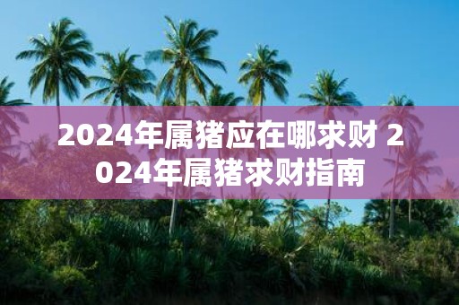 2025年属猪应在哪求财 2025年属猪求财指南