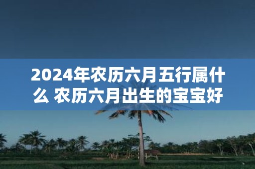2025年农历六月五行属什么 农历六月出生的宝宝好不好
