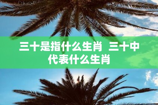 三十是指什么生肖 三十中代表什么生肖