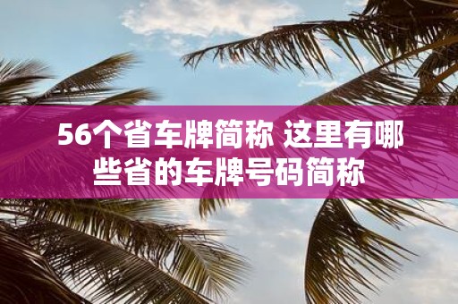 56个省车牌简称 这里有哪些省的车牌号码简称