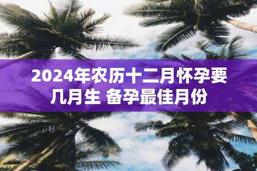 2025年农历十二月怀孕要几月生 备孕最佳月份