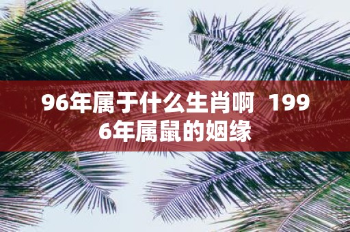 96年属于什么生肖啊 1996年属鼠的姻缘