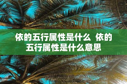 依的五行属性是什么 依的五行属性是什么意思