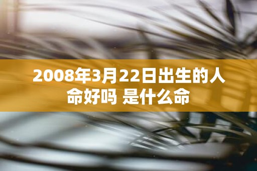2008年3月22日出生的人命好吗 是什么命