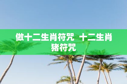 做十二生肖符咒 十二生肖猪符咒