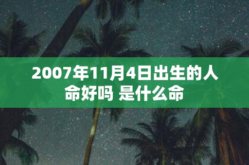 2007年11月4日出生的人命好吗 是什么命