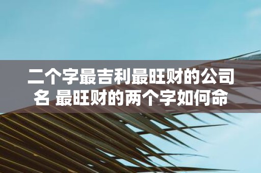 二个字最吉利最旺财的公司名 最旺财的两个字如何命名公司