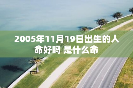 2005年11月19日出生的人命好吗 是什么命